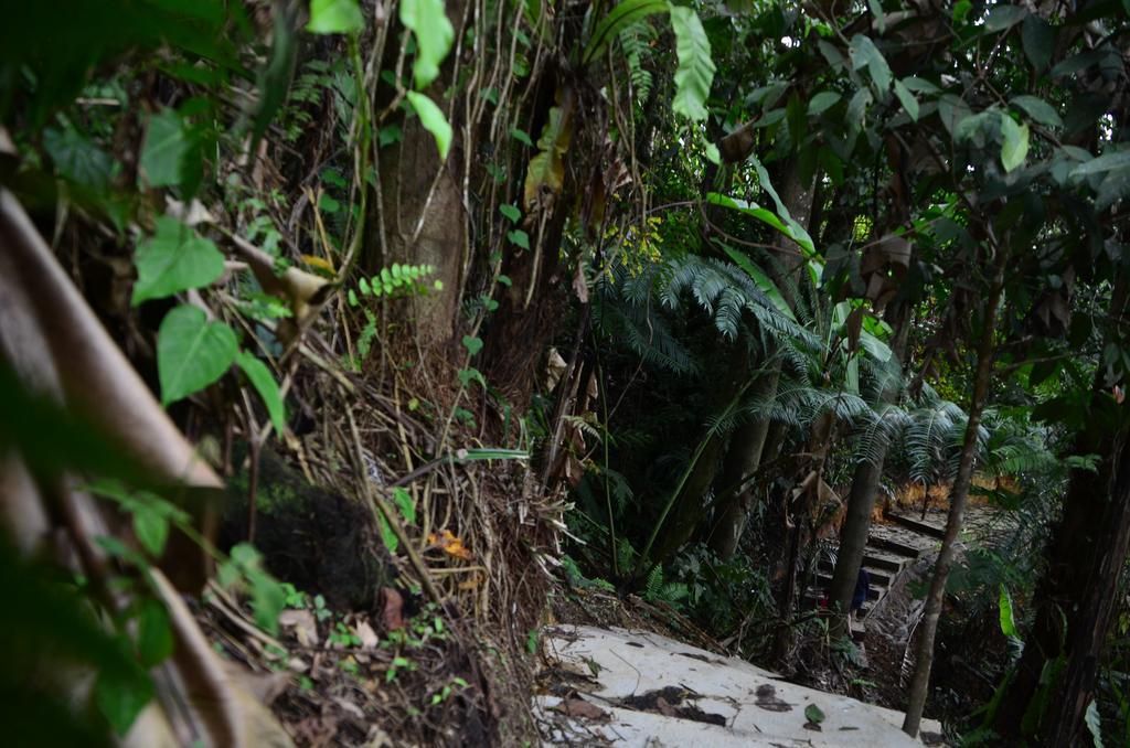 The Woodz Homestay Tanah Rata Exterior foto