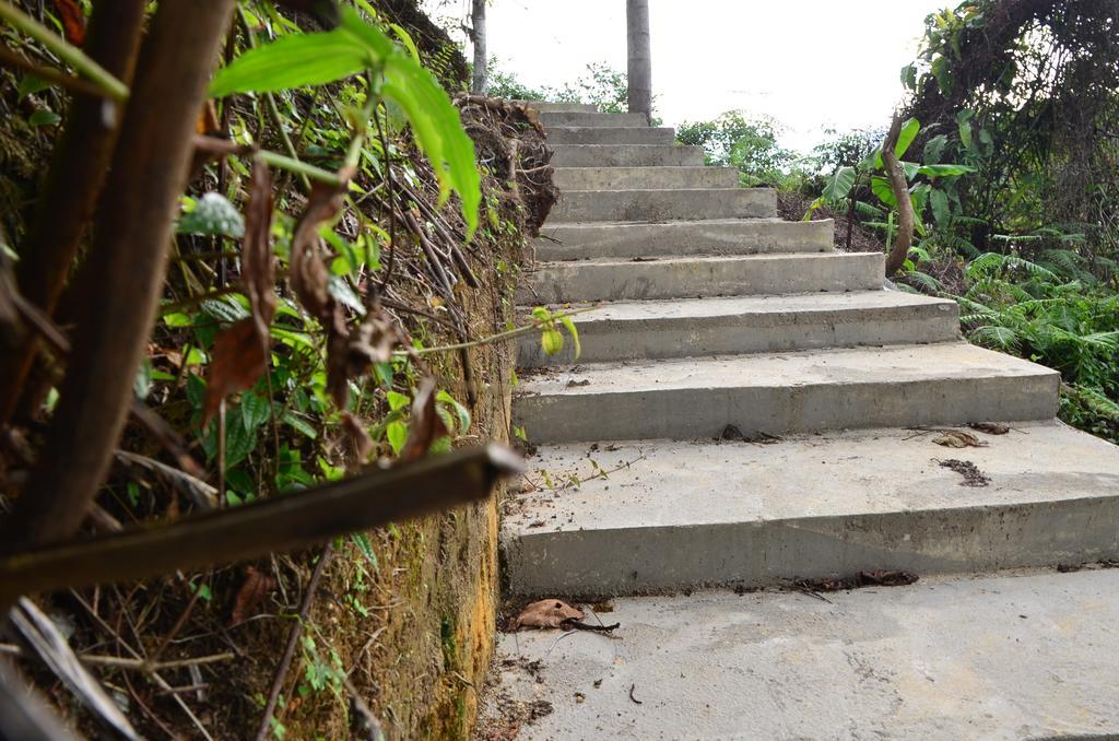 The Woodz Homestay Tanah Rata Exterior foto