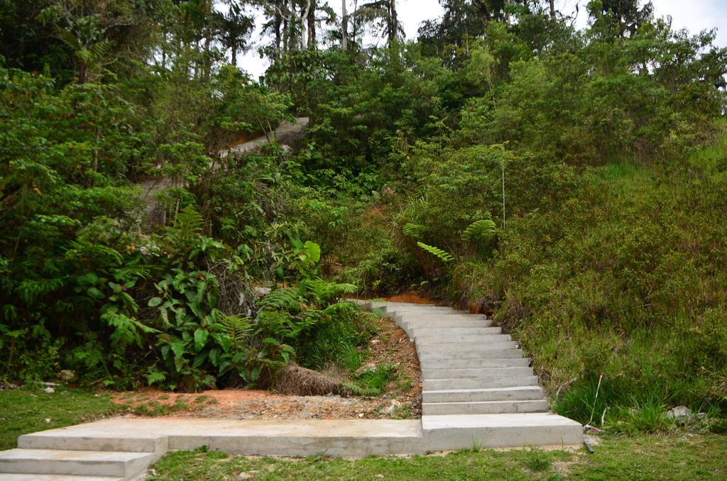 The Woodz Homestay Tanah Rata Exterior foto